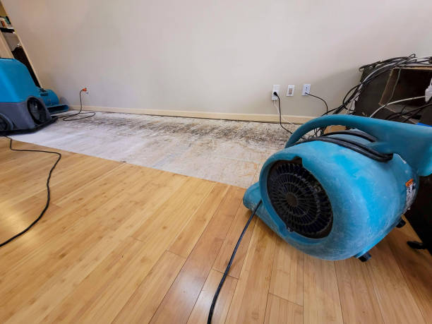 Professional Basement Flood Cleanup technician working in Richmond Hill, NY